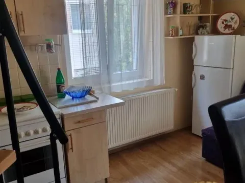 Rent, one bedroom apartment, 40m², Brace Jerković, Voždovac Sve Podlokacije - image 4