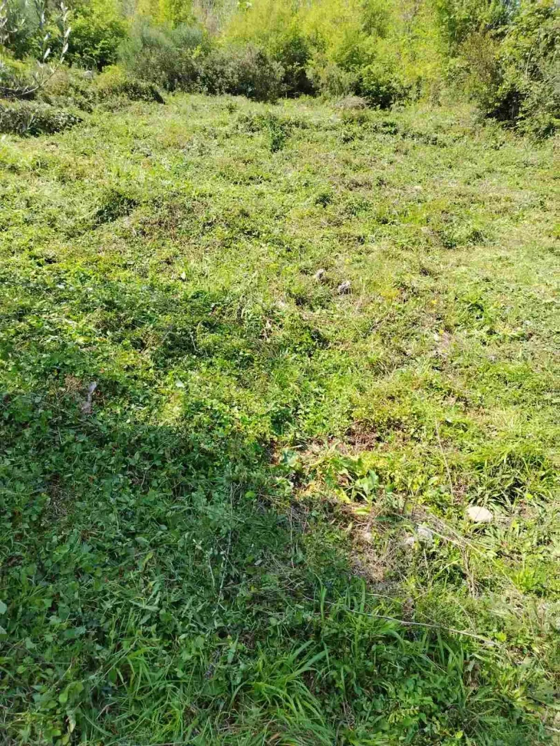 Sale, land lot, 756m², Zeleni Pojas, Bar
