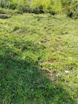 Sale, land lot, 756m², Zeleni Pojas, Bar - image 7