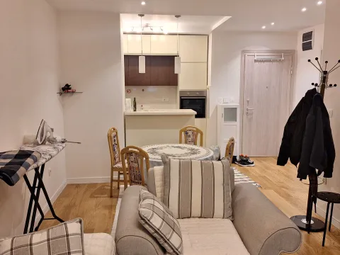 Izdavanje, jednosoban stan, 56m², Centar, Podgorica - image 2