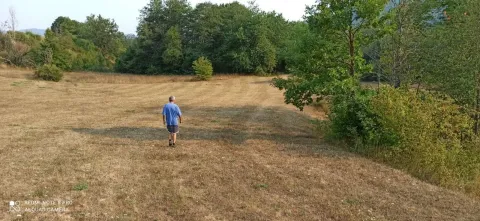 Prostran ravan plac okružen šumom i zelenilom. - image 5