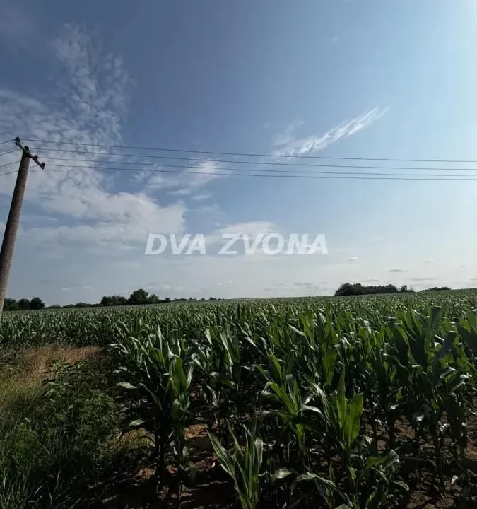 Sale, land lot, 1200m², Čortanovci, Inđija