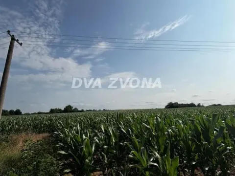 Sale, land lot, 12m², Čortanovci, Inđija