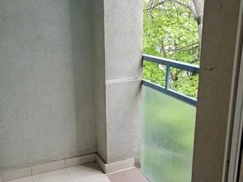 Izdavanje, dvosoban stan, 55m², Vračar Sve Podlokacije, Beograd - image 14