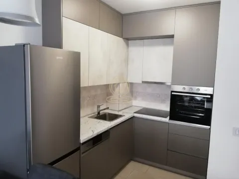 Izdavanje, dvosoban stan, 49m², Hala Pionir, Palilula Sve Podlokacije - image 5