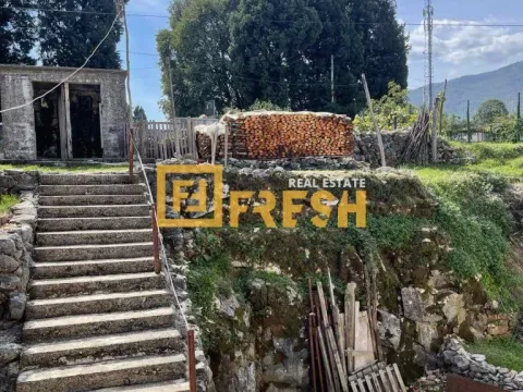 Prodaja, kuća, 300m², Danilovgrad, Crna Gora - image 3