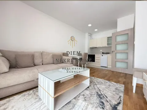 Izdavanje, jednosoban stan, 40m², Zabjelo, Podgorica - image 2