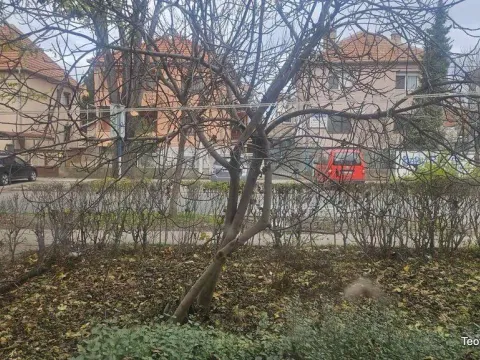 Prodaja, dvosoban stan, 38m², Novi Sad, Srbija - image 3