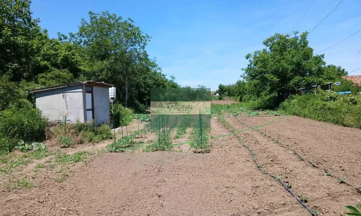 Sale, land lot, 1494m², Kupusara, Jagodina