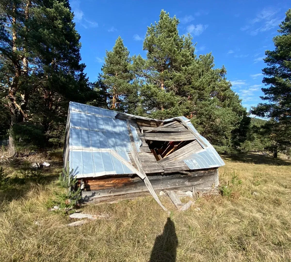 Prodaja, plac, 59443m², Žabljak, Crna Gora