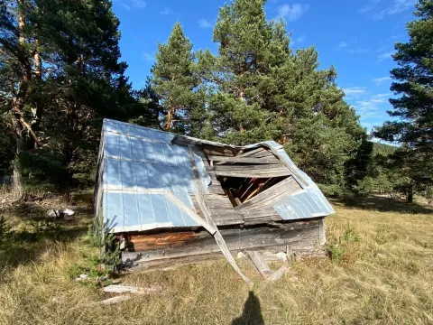 Prodaja, plac, 59443m², Žabljak, Crna Gora - image 4