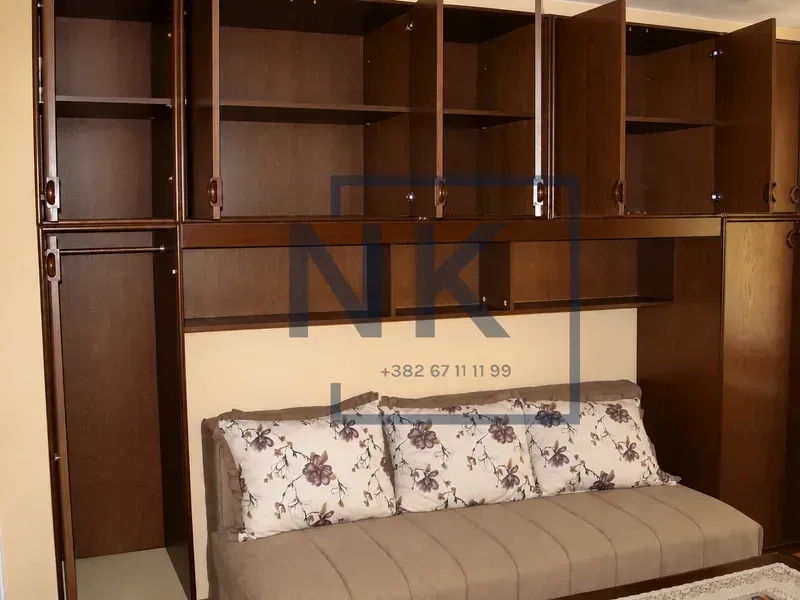 Living room with a sofa and built-in wooden cabinets.
