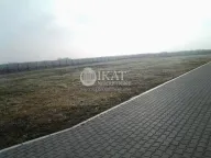 Izdavanje, poslovni prostor, 1045m², Karlovčić, Pećinci - image 4