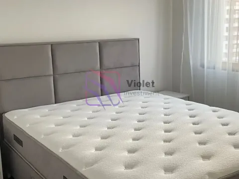 Izdavanje, jednosoban stan, 39m², Central Point, Podgorica - image 3