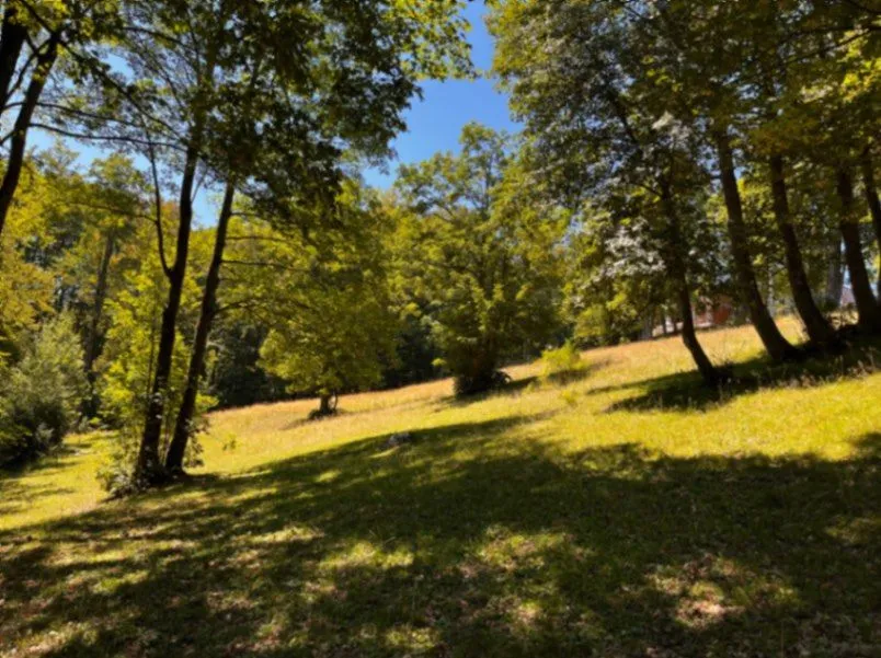 Prodaja, plac, 12000m², Žabljak, Crna Gora