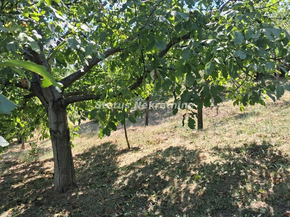 Prodaja, kuća, 30m², Ledinci, Petrovaradin