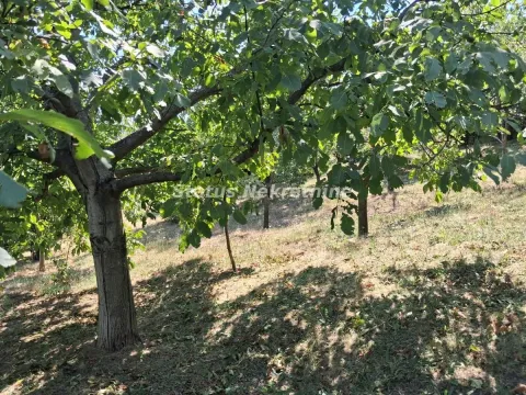 Prodaja, kuća, 30m², Ledinci, Petrovaradin - image 16