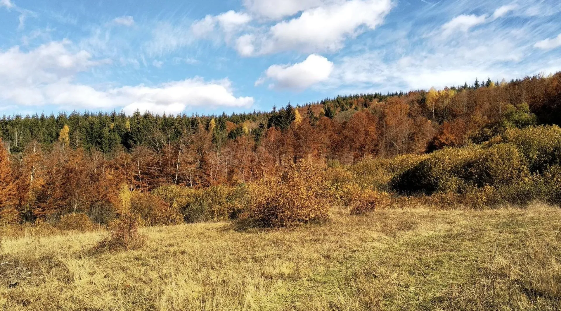 Prodaja, plac, 23000m², Kolašin, Crna Gora