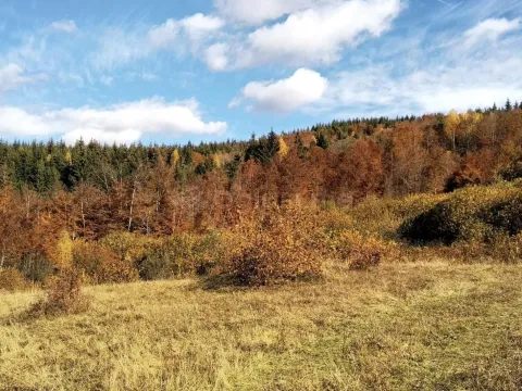 Prodaja, plac, 23000m², Kolašin, Crna Gora