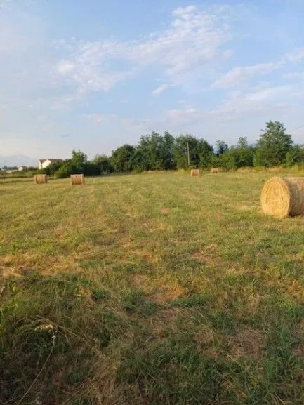 Sale, land lot, 7400m², Zeta, Podgorica