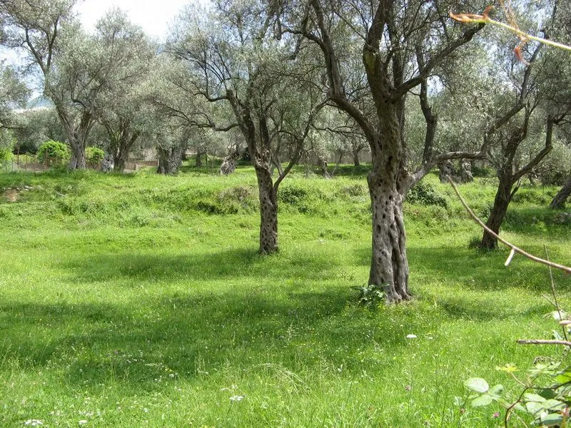 Prodaja, plac, 3490m², Bar, Crna Gora