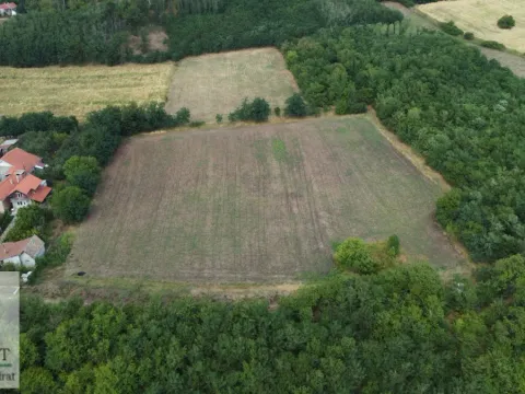 Prodaja, plac, 7700m², Obrenovac, Beograd - image 5