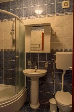 Jednostavno kupatilo sa plavim i bijelim pločicama, tuš kabinom i lavaboom. - image 40