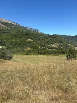 Prodaja, plac, 1350m², Moračko Trebaljevo, Kolašin - image 6