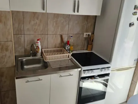 Rent, one bedroom apartment, 30m², Zabjelo, Podgorica - image 1
