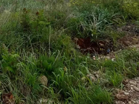 Prodaja, zemljište, 751m2, Gorica C, Podgorica Prodaja, zemljište, 751m2, Gorica C, Podgorica