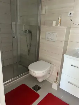 Moderno opremljeno kupatilo sa tuš kabinom, WC šoljom i umivaonikom. - image 4