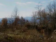 Sale, land lot, 9500m², Piperi, Podgorica - image 2