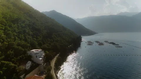 Sale, house, 400m², Stoliv, Kotor - image 2
