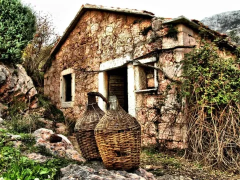 Prodaja, plac, 24460m², Stanišići, Budva - image 4