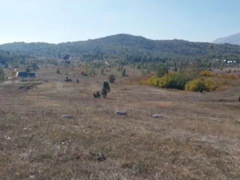 Prodaja, plac, 2163m², Tepačko polje, Žabljak - image 2