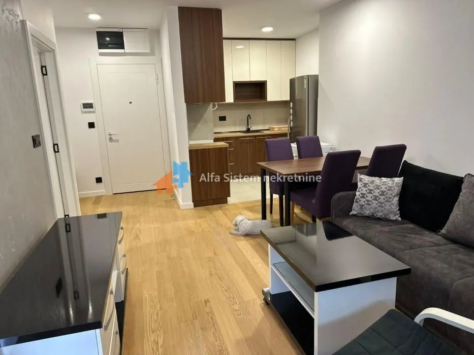 Rent, two bedroom apartment, 46m², Vračar Sve Podlokacije, Beograd