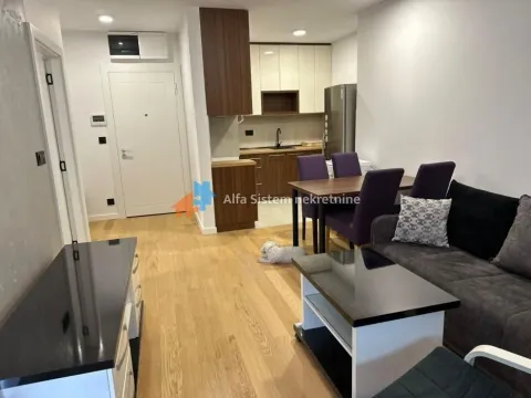 Rent, two bedroom apartment, 46m², Vračar Sve Podlokacije, Beograd - image 4