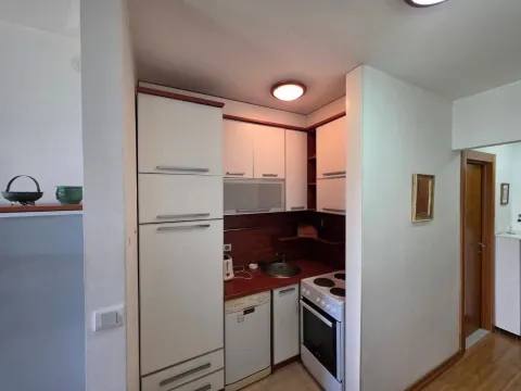 Sale, one bedroom apartment, 31m², Podgorica, Crna Gora - image 11