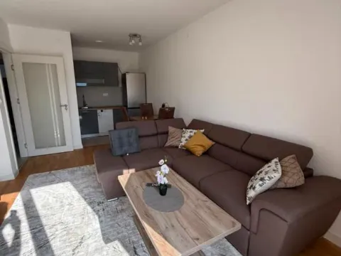 Rent, one bedroom apartment, 45m², Stari Aerodrom, Podgorica - image 3