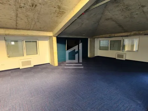 Izdavanje, poslovni prostor, 700m², Zabjelo, Podgorica - image 9