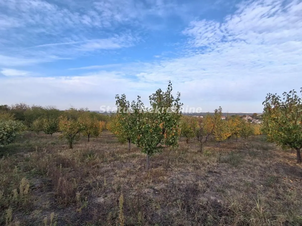 Prodaja, plac, 7500m², Beočin, Srbija