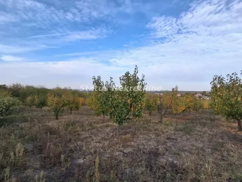 Prodaja, plac, 7500m², Beočin, Srbija - image 7