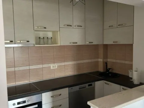 Izdavanje, jednosoban stan, 40m², Stari Aerodrom, Podgorica - image 5