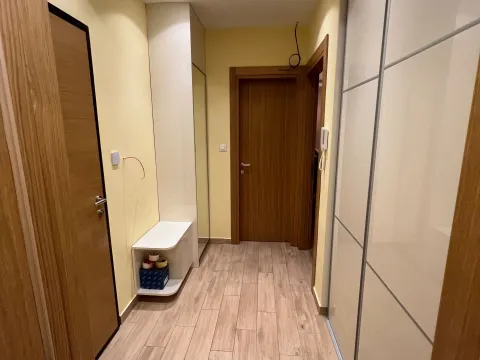Izdavanje, jednosoban stan, 58m², Dalmatinska ulica, Podgorica - image 16