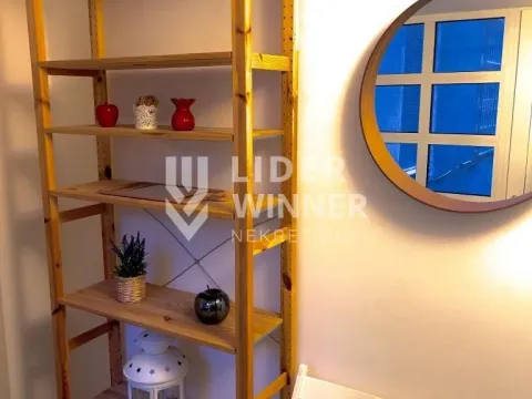 Izdavanje, dvosoban stan, 55m², Stari Grad, Beograd - image 12