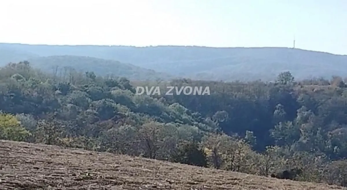 Prodaja, plac, 4500m², Sremski Karlovci, Novi Sad