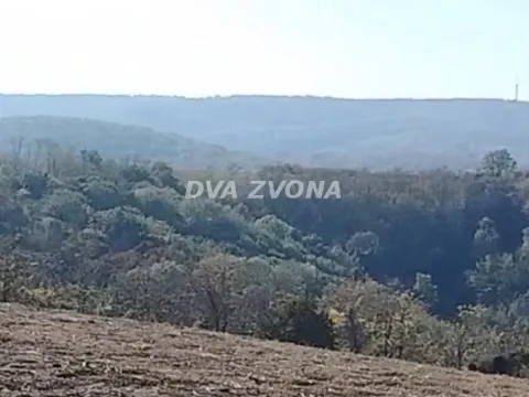 Sale, land lot, 4500m², Sremski Karlovci, Novi Sad - image 6