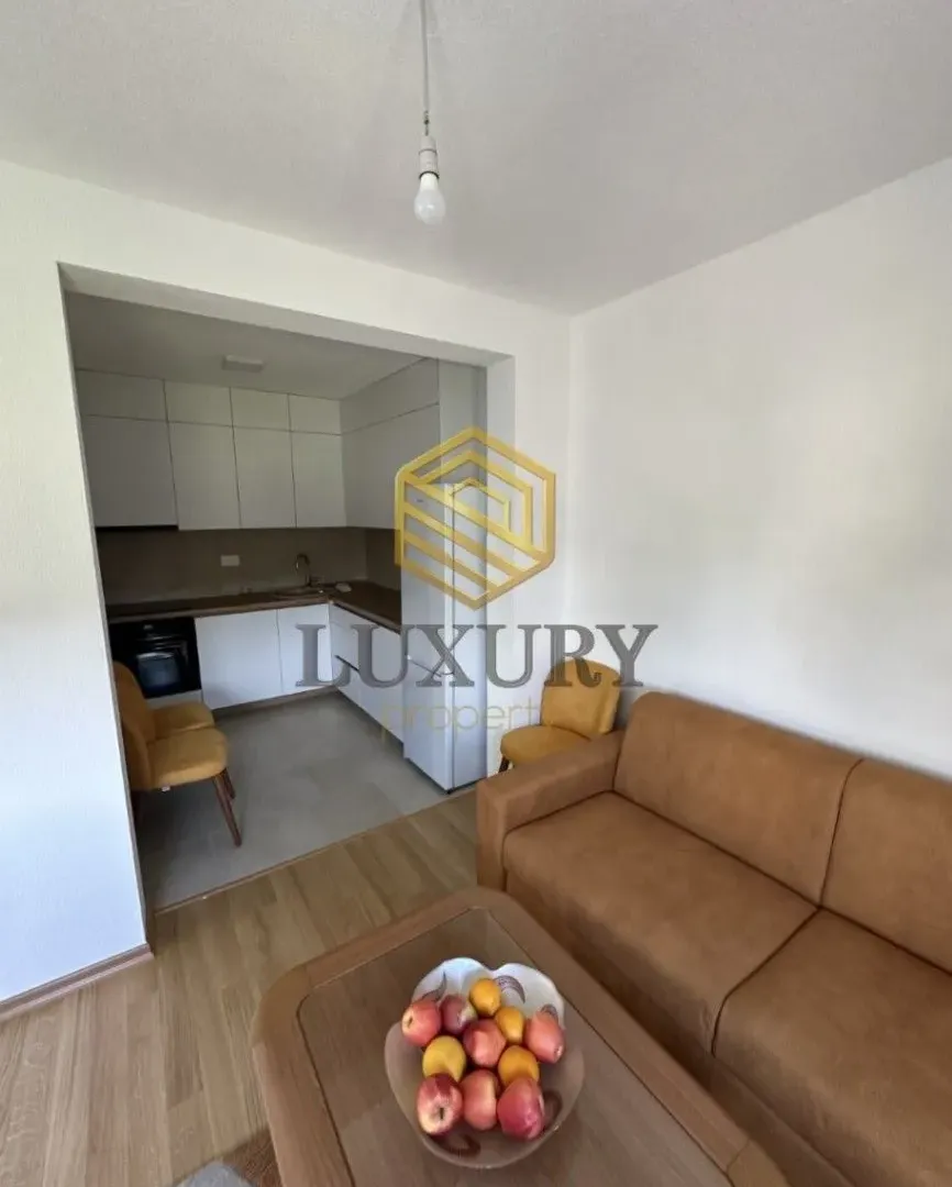 Izdavanje, jednosoban stan, 47m², Tološka šuma, Podgorica