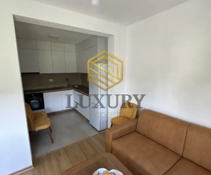 Izdavanje, jednosoban stan, 47m², Tološka šuma, Podgorica