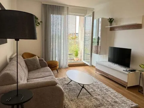 Izdavanje, stan, 42m², Bulevar Evrope, Novi Sad Sve Podlokacije - image 4